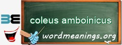 WordMeaning blackboard for coleus amboinicus